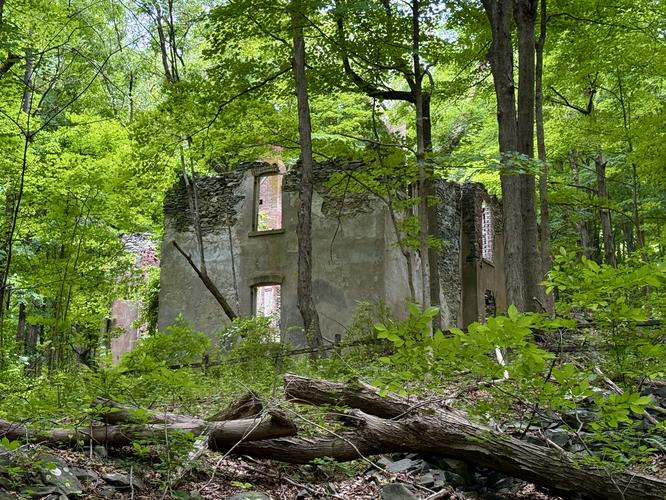 Abandoned home in Franny Reese State Park