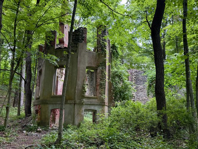 Abandoned home ruins