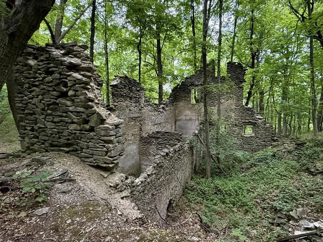 Abandoned barn ruins