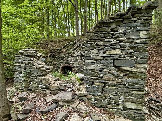Abandoned ruins (shed?)