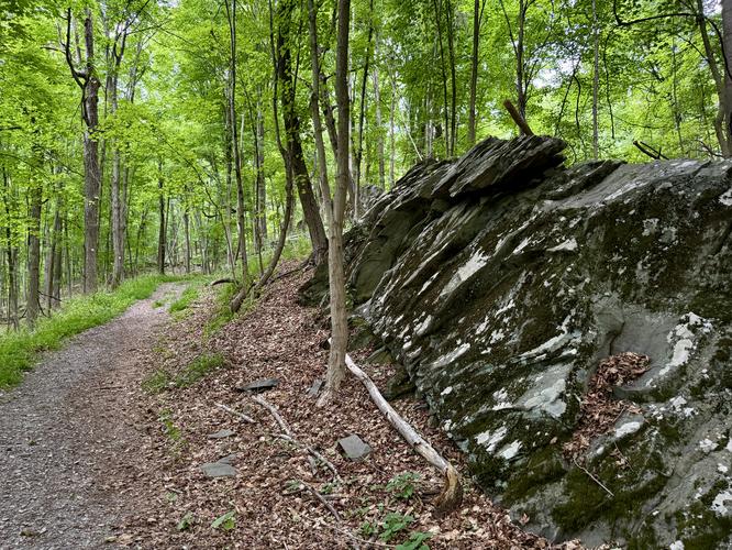 Jutting rock formation along the trail
