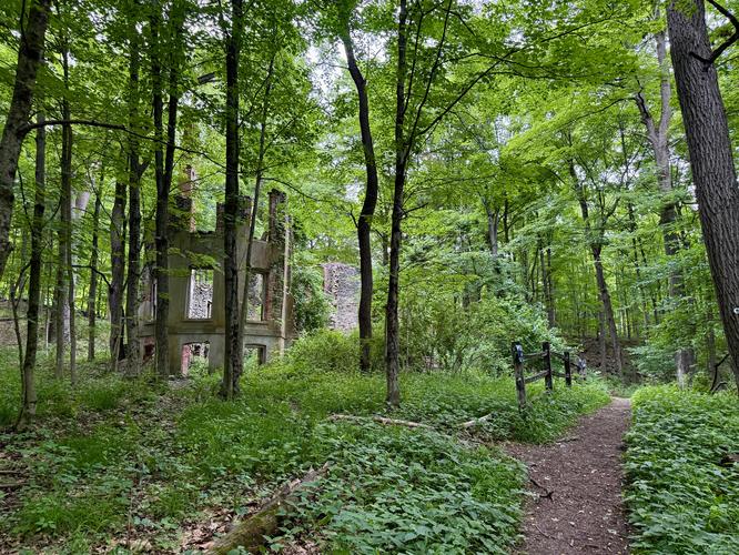 Abandoned ruins sit along side a forest trail