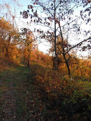 Picture 8 of Frazier Discovery Trail Hike 102112
