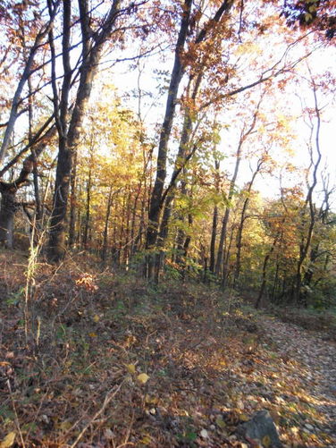 Picture 11 of Frazier Discovery Trail Hike 102112