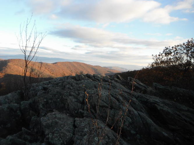 Picture 16 of Frazier Discovery Trail Hike 102112