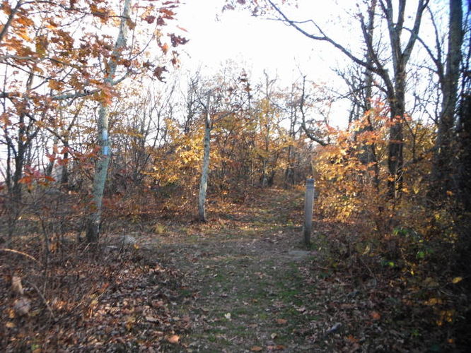 Picture 19 of Frazier Discovery Trail Hike 102112