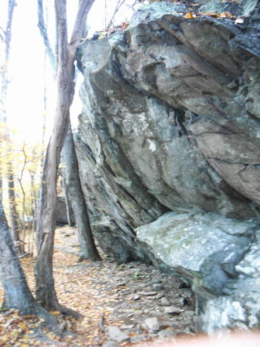 Picture 23 of Frazier Discovery Trail Hike 102112