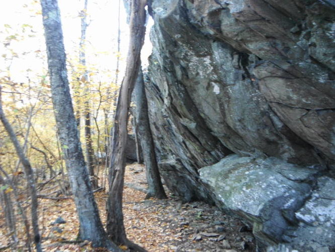 Picture 24 of Frazier Discovery Trail Hike 102112
