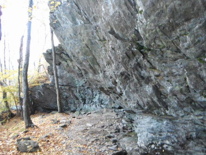 Picture 25 of Frazier Discovery Trail Hike 102112