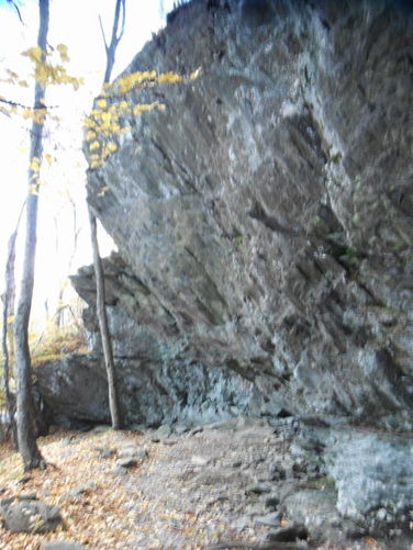 Picture 26 of Frazier Discovery Trail Hike 102112