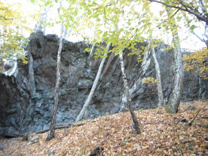 Picture 27 of Frazier Discovery Trail Hike 102112