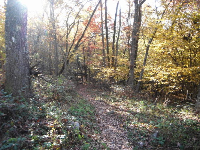 Picture 29 of Frazier Discovery Trail Hike 102112