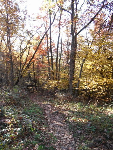 Picture 30 of Frazier Discovery Trail Hike 102112