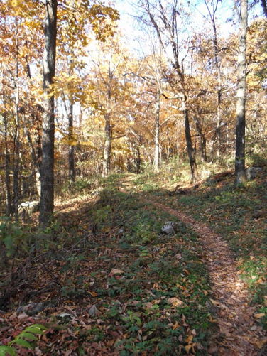 Picture 31 of Frazier Discovery Trail Hike 102112