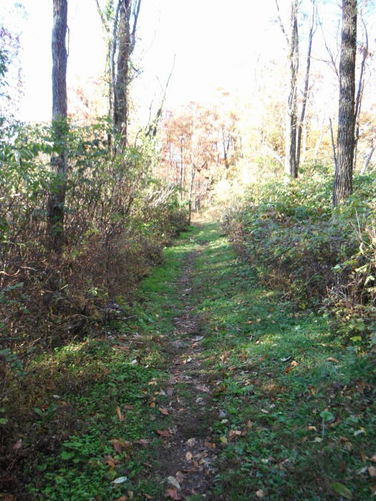 Picture 32 of Frazier Discovery Trail Hike 102112