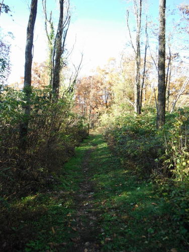 Picture 33 of Frazier Discovery Trail Hike 102112