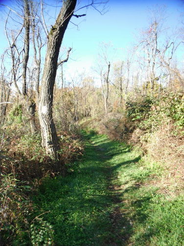 Picture 34 of Frazier Discovery Trail Hike 102112