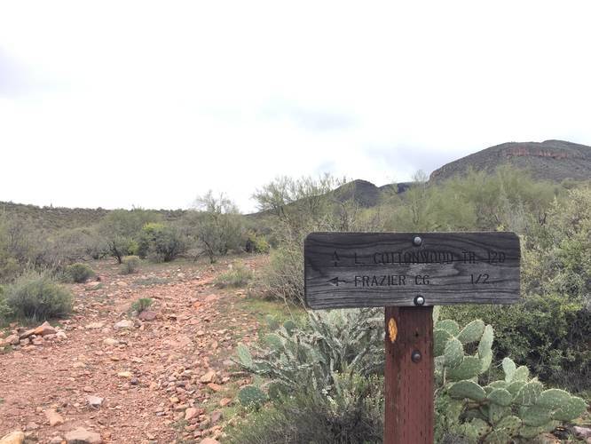 Picture 2 of Frazier Trail Tonto National Forest
