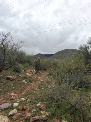 Picture 18 of Frazier Trail Tonto National Forest