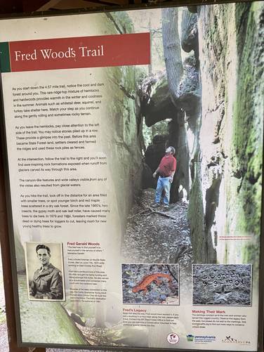 Picture 3 of Fred Woods Trail