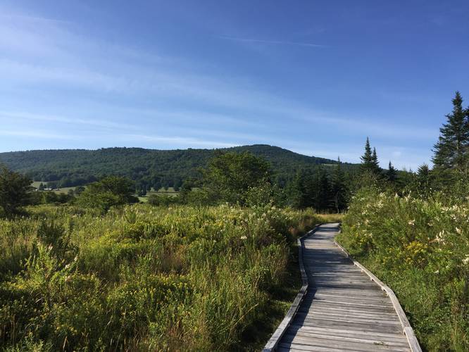 Picture 6 of Freeland Boardwalk Trail Canaan Valley
