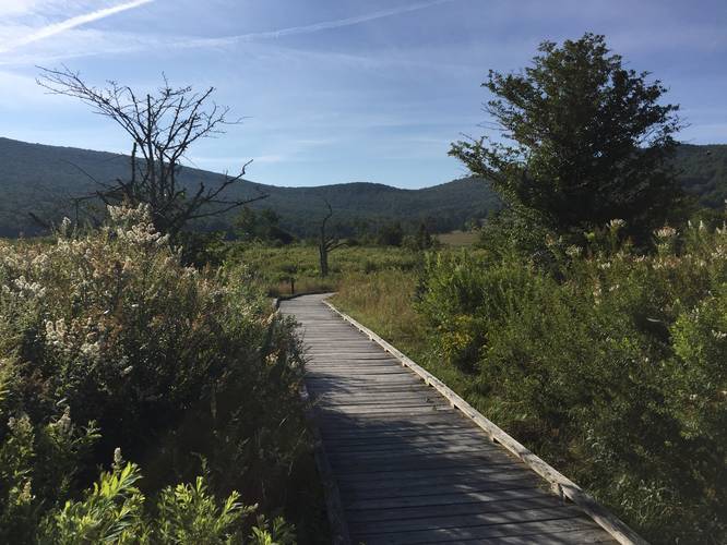 Picture 4 of Freeland Boardwalk Trail Canaan Valley