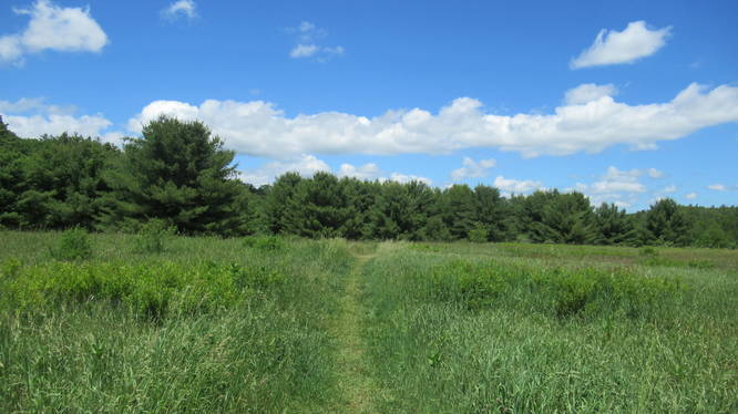 Fremont Trail through the field