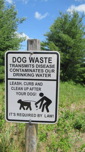 They are SERIOUS about no dog waste