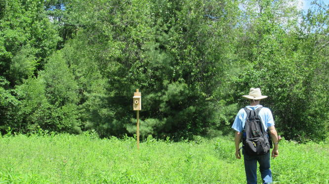 Nesting boxes installed all around the fields for sparrows and bluebirds