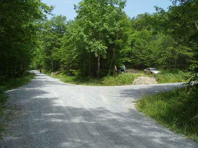 Picture 5 of Fridley Gap Hike 062803