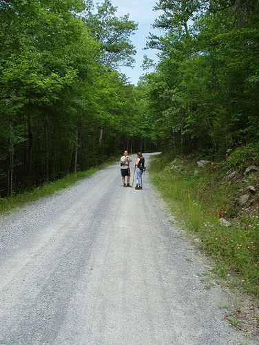 Picture 4 of Fridley Gap Hike 062803