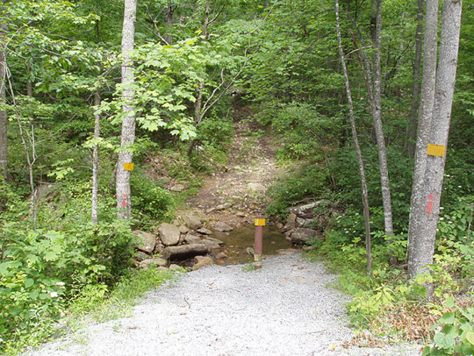 Picture 3 of Fridley Gap Hike 062803