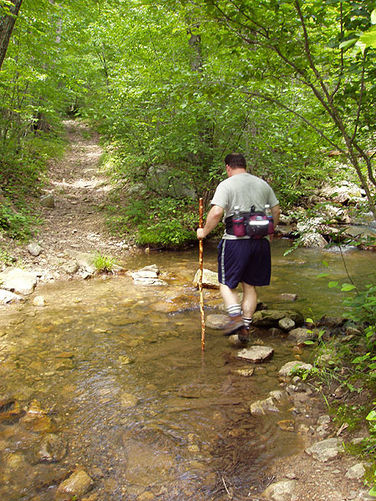 Picture 9 of Fridley Gap Hike 062803