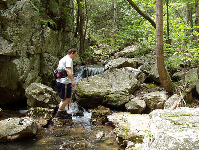 Picture 11 of Fridley Gap Hike 062803