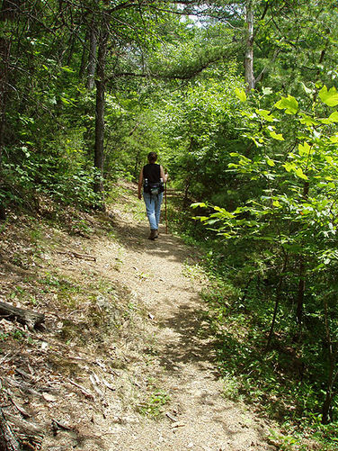 Picture 16 of Fridley Gap Hike 062803
