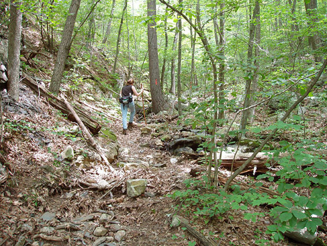 Picture 20 of Fridley Gap Hike 062803