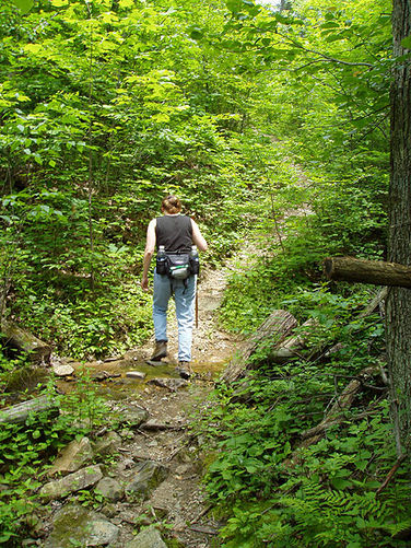 Picture 19 of Fridley Gap Hike 062803