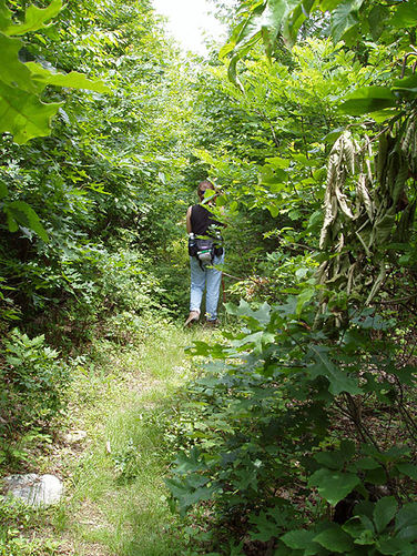 Picture 23 of Fridley Gap Hike 062803