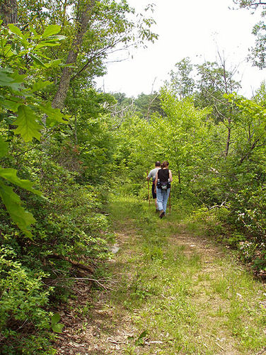 Picture 25 of Fridley Gap Hike 062803