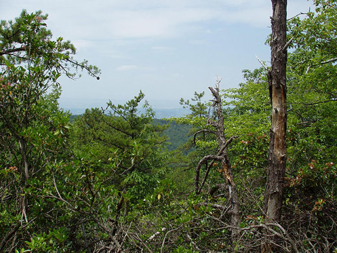 Picture 28 of Fridley Gap Hike 062803