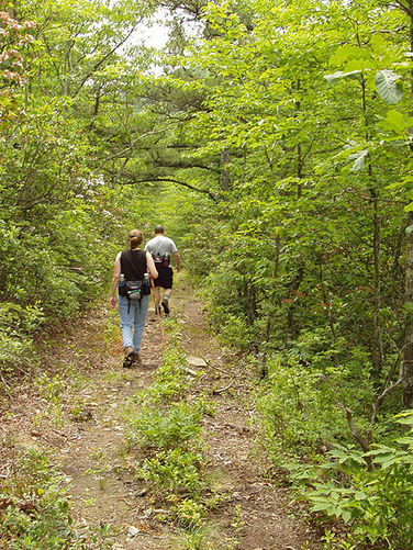 Picture 29 of Fridley Gap Hike 062803