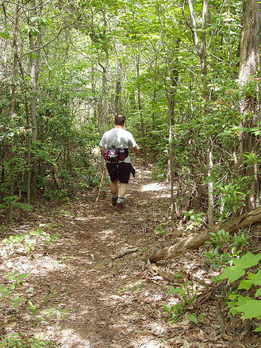 Picture 32 of Fridley Gap Hike 062803