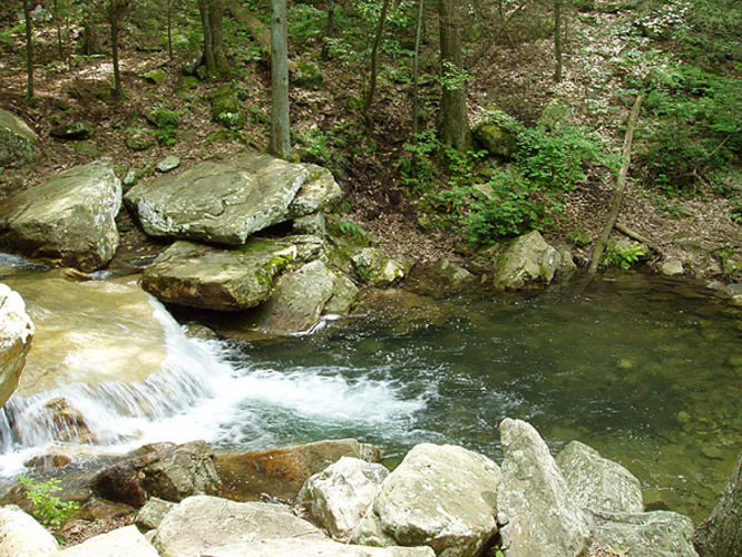 Picture 36 of Fridley Gap Hike 062803