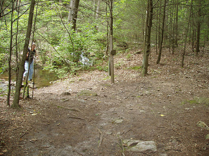 Picture 41 of Fridley Gap Hike 062803