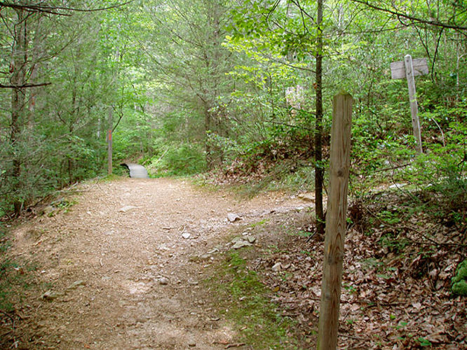 Picture 42 of Fridley Gap Hike 062803