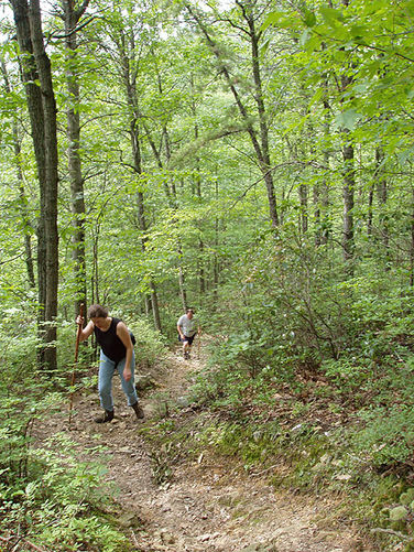 Picture 43 of Fridley Gap Hike 062803