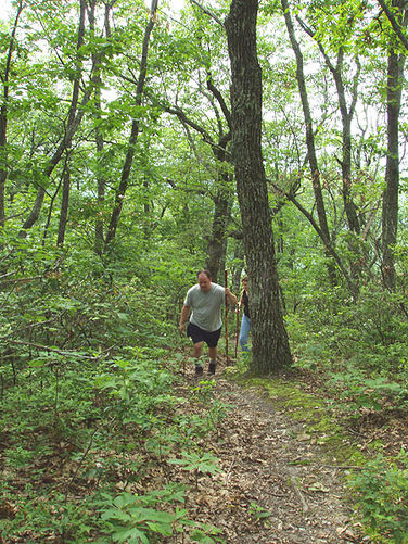 Picture 44 of Fridley Gap Hike 062803