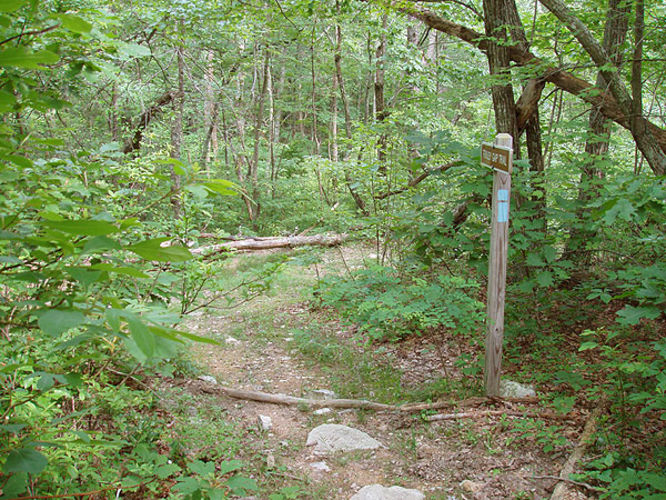 Picture 46 of Fridley Gap Hike 062803