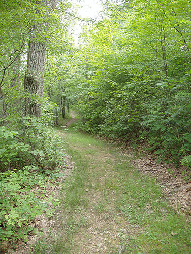 Picture 47 of Fridley Gap Hike 062803