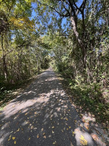 Picture 5 of Frisco Highline Trail
